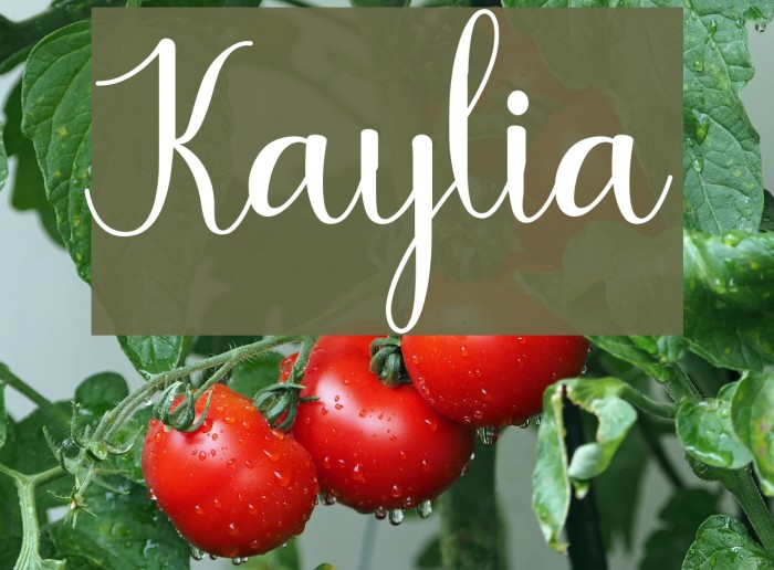 Kaylia Font examples
