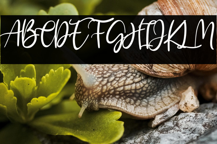 Kayliee Mightness Example 1