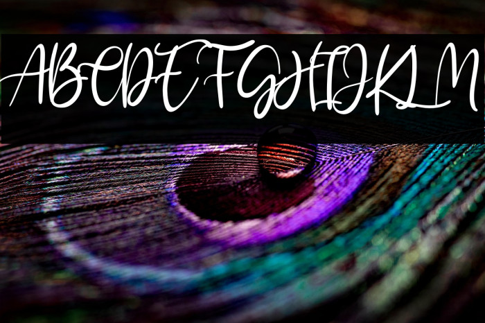 Kayliee Mightness Example 2