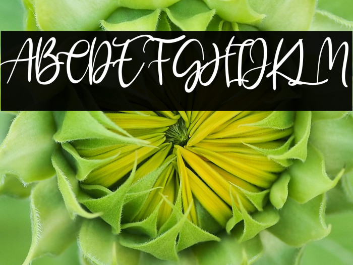 Kayliee Mightness Example 3