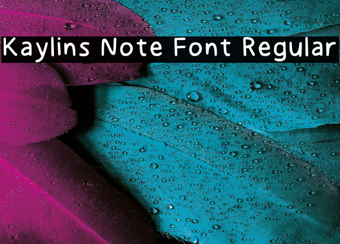 Kaylins Note Font Regular Example 1