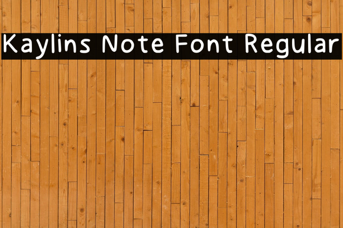 Kaylins Note Font Regular Example 2