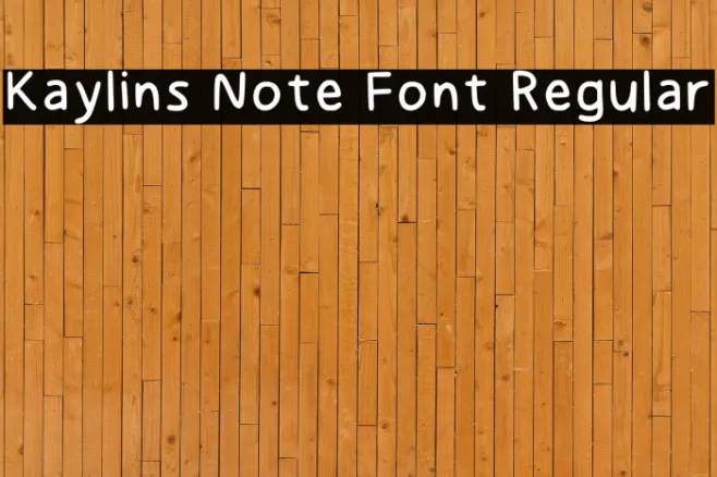 Kaylins Note Font Regular Example 2