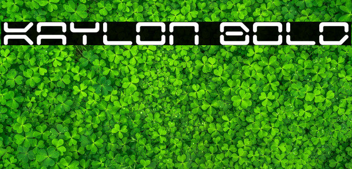 Kaylon Bold Font examples