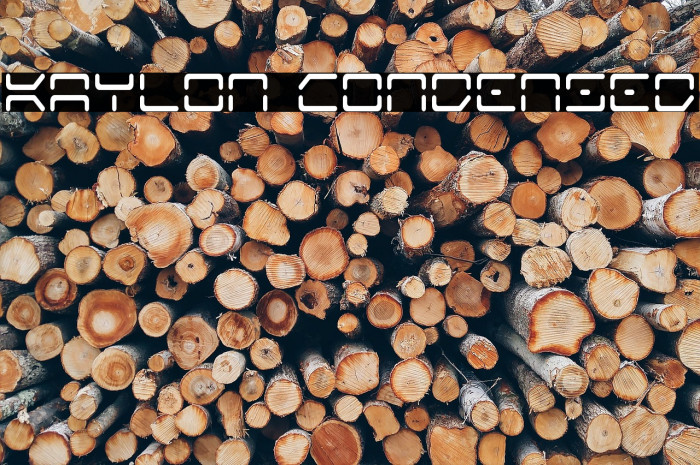 Kaylon Condensed Example 1