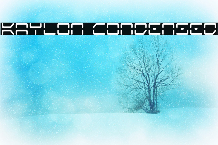 Kaylon Condensed Example 2