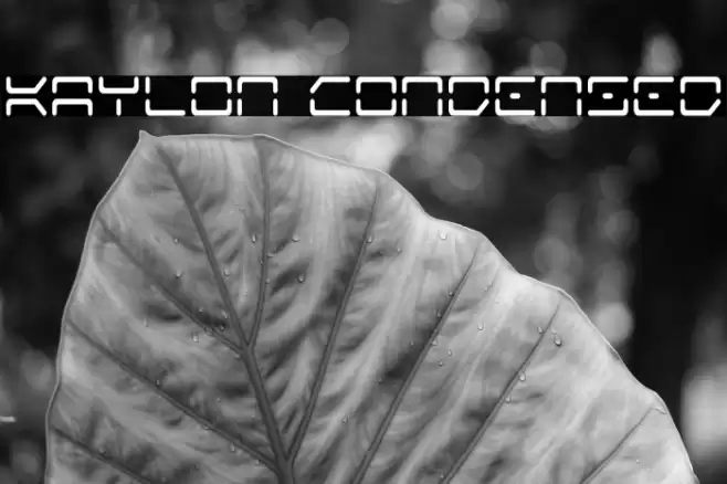 Kaylon Condensed Font examples