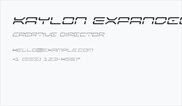 Kaylon Expanded Italic Business Card