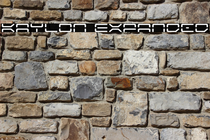 Kaylon Expanded Example 1