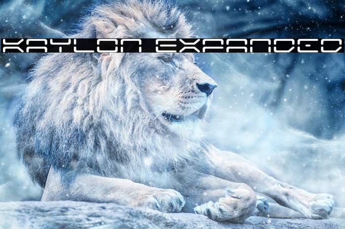 Kaylon Expanded Example 3