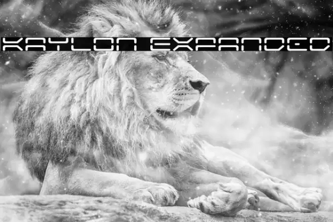 Kaylon Expanded Font examples