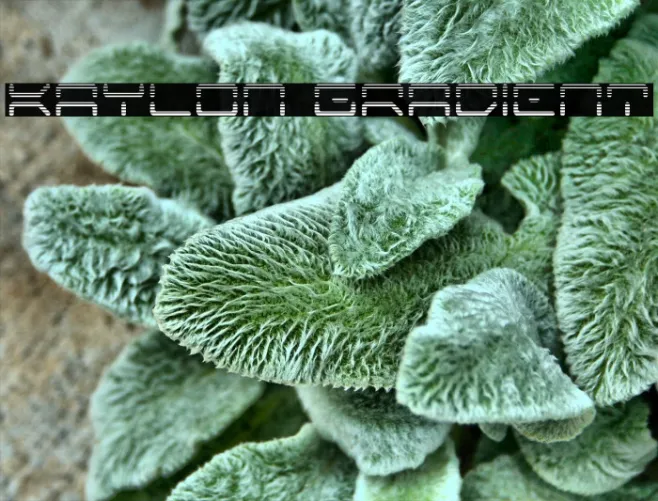 Kaylon Gradient Example 1
