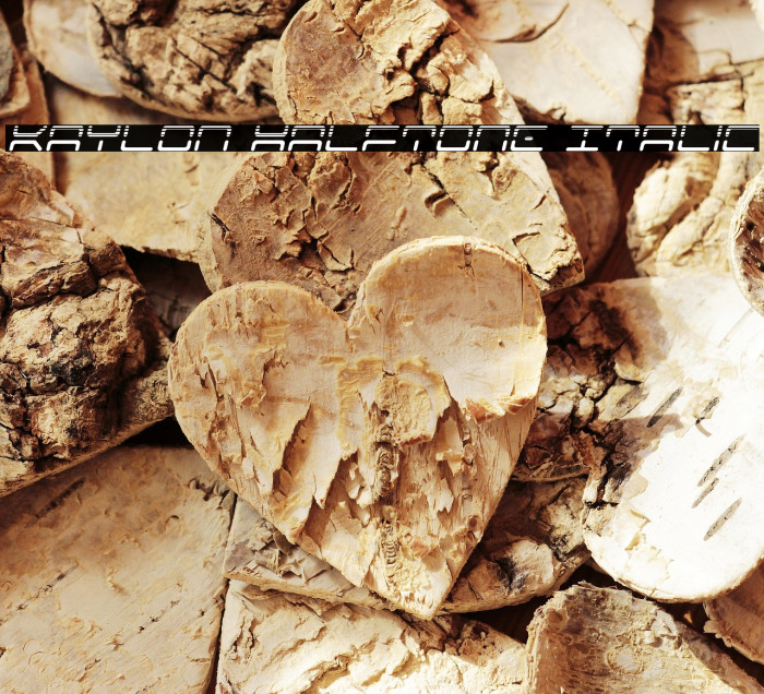 Kaylon Halftone Italic Example 1