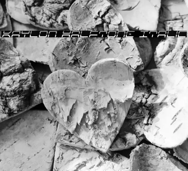 Kaylon Halftone Italic Font examples