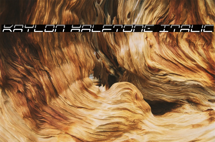 Kaylon Halftone Italic Example 3