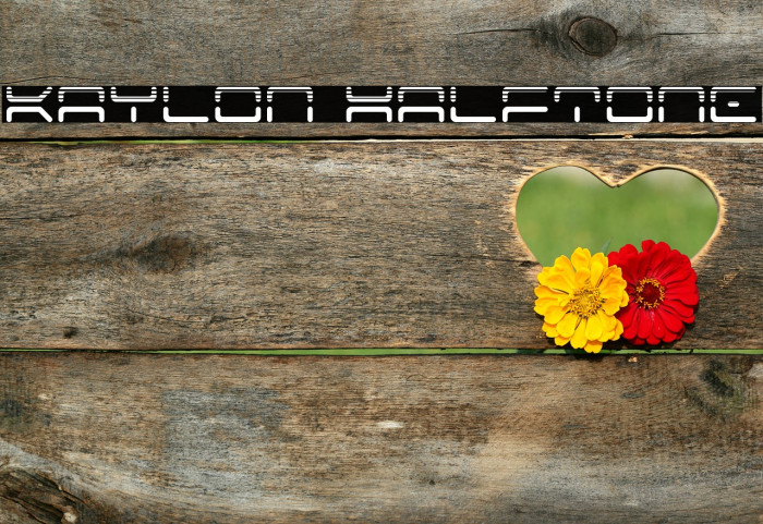 Kaylon Halftone Example 3