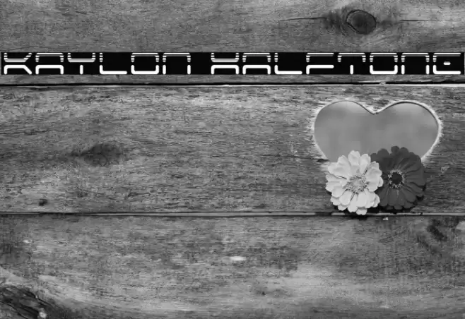 Kaylon Halftone Font examples