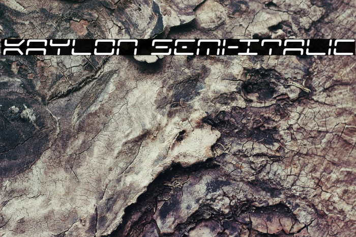 Kaylon Semi-Italic Font examples