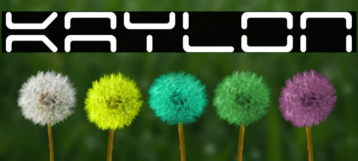 Kaylon Font examples