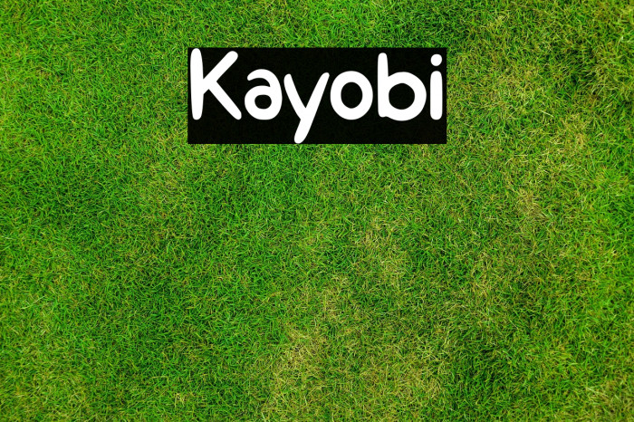 Kayobi Example 3