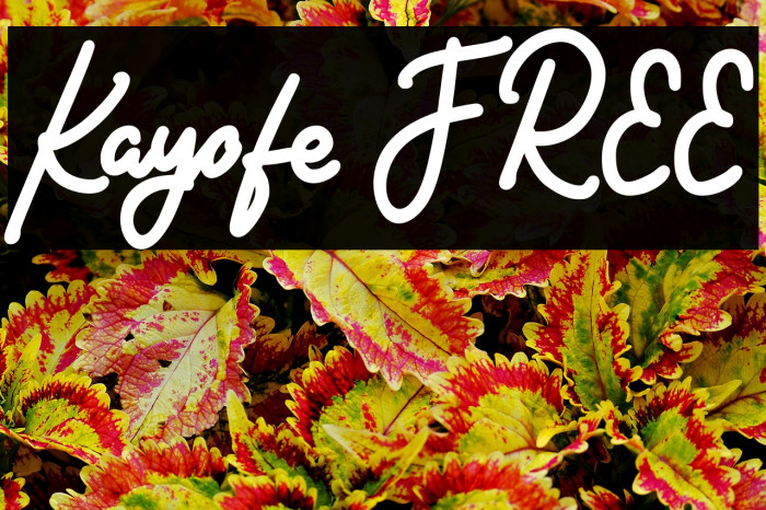 Kayofe FREE Example 1