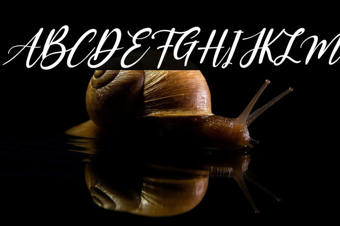 Kayonna Italic Example 1