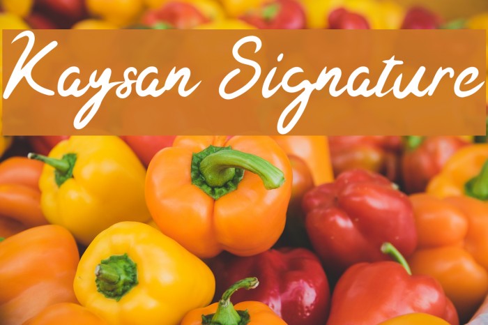 Kaysan Signature Font examples