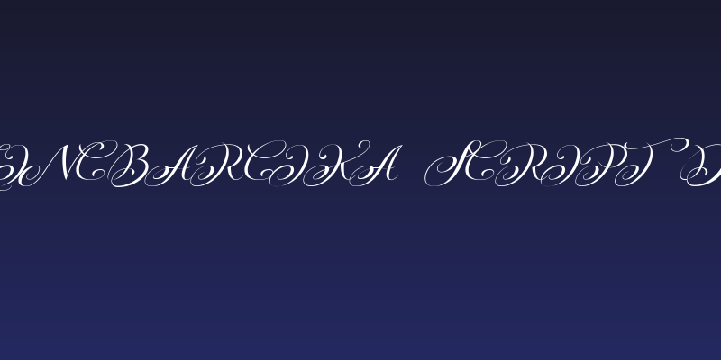 KazincBarcika Script Demo Social Header