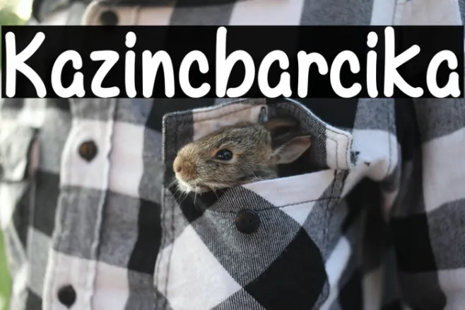 Kazincbarcika Example 3