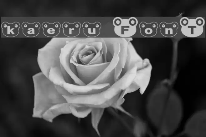 kaeru Font examples