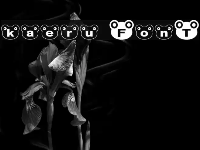 kaeru Font examples