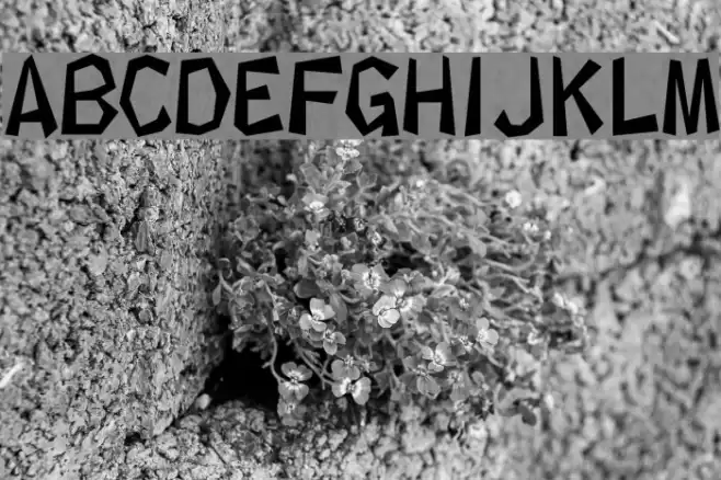 kakukaku1 Font examples