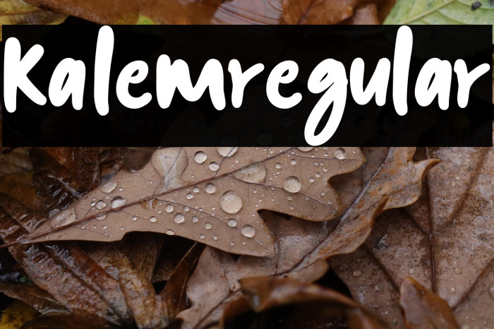 kalem-Regular Example 3