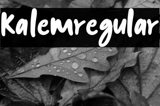 kalem-Regular Font examples