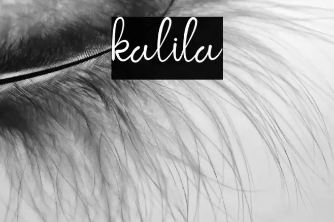 kalila Font examples