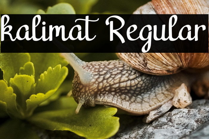 kalimat Regular Example 1
