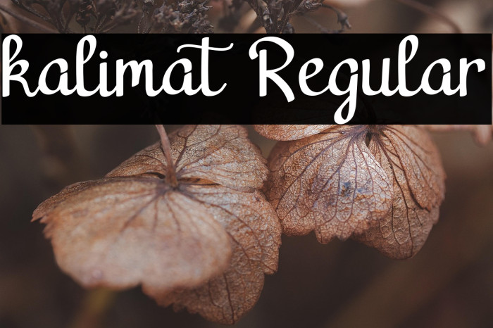 kalimat Regular Example 3