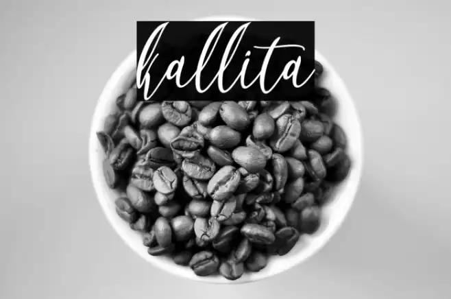 kallita Font examples