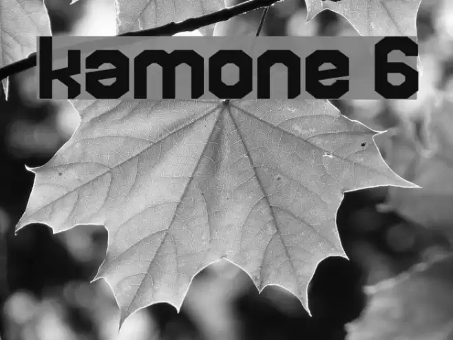 kamone 6 Font examples