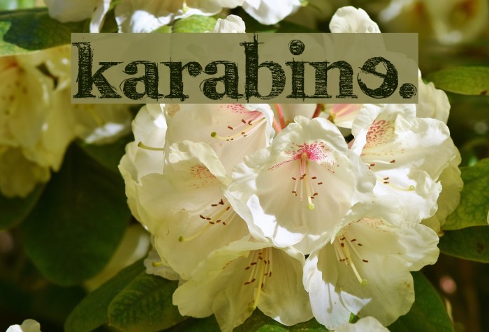 karabinE. Font examples