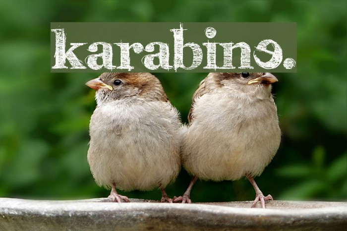 karabinE. Font examples