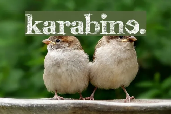karabinE. Example 3