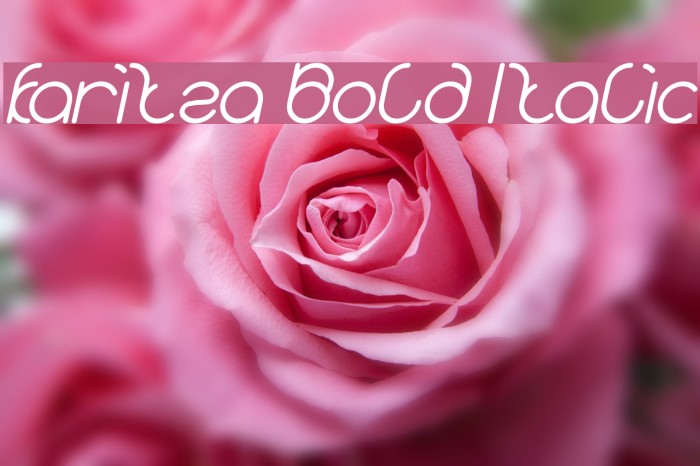 karitza Bold Italic Font examples