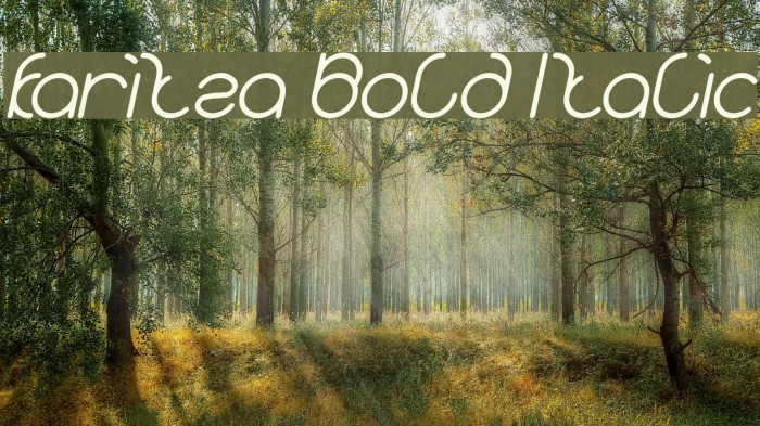 karitza Bold Italic Font examples