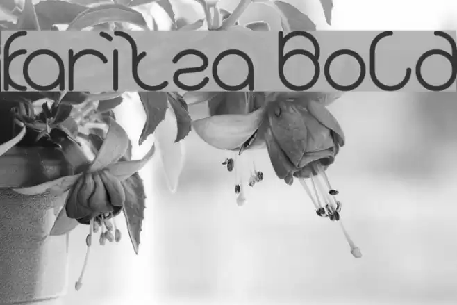 karitza Bold Font examples