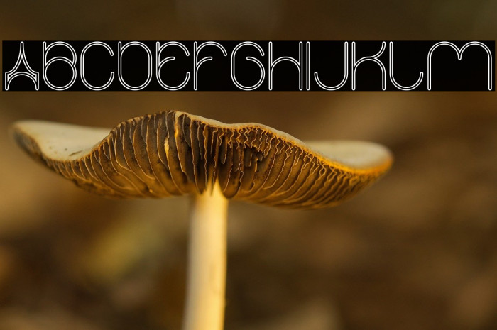 karitza-Hollow Example 1