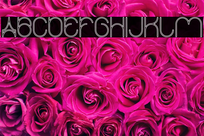 karitza-Hollow Example 2