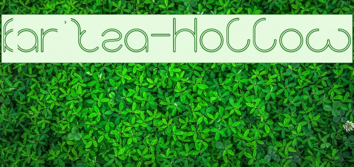 karitza-Hollow Example 3