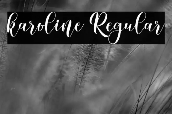karoline Regular Font examples