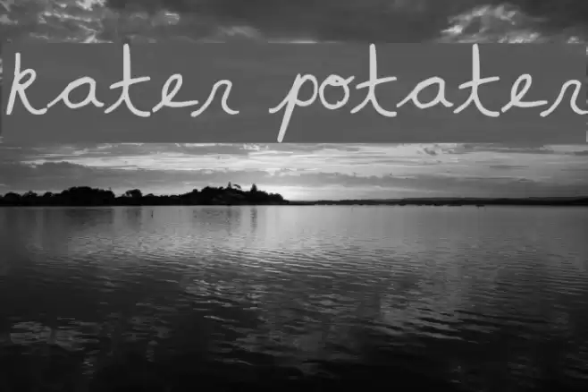 kater potater  examples